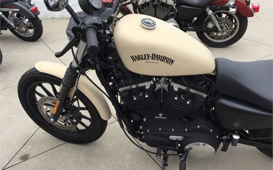 Harley Davison Sportster Iron 883 - alquilar una moto en Chipre