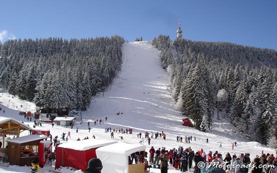 Ski Pist in Pamporovo